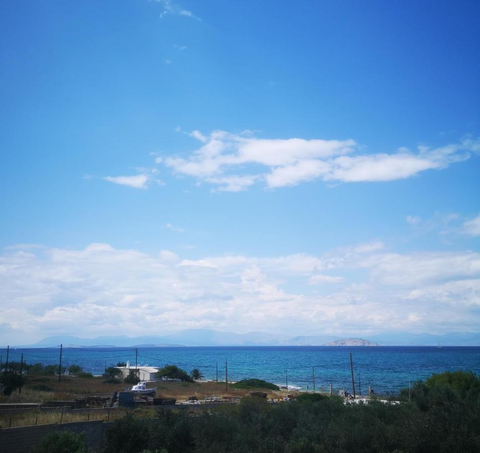 El Verde Apartments Σκάλα Εξωτερικό φωτογραφία